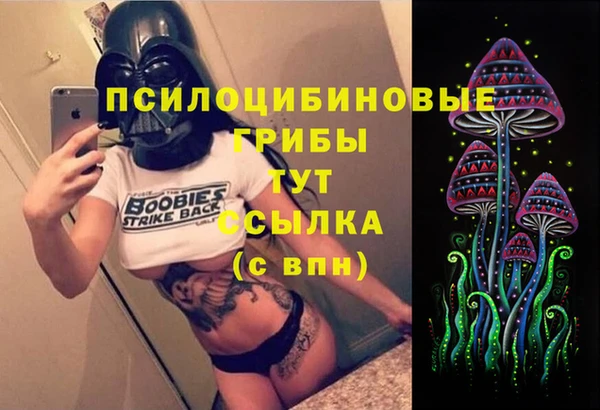 марки lsd Бородино